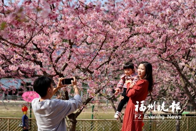 福州：踏春赏花季  “乡”约打卡去