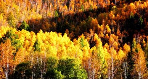 沿着总书记的脚步看内蒙古