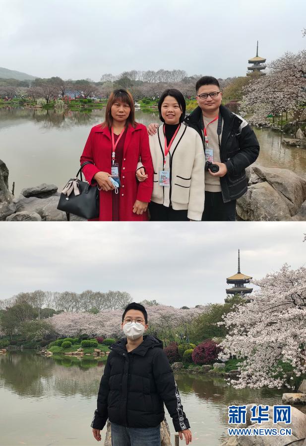 相约武汉赏樱花