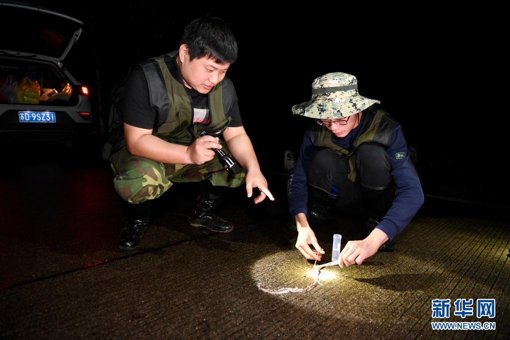 探寻武夷生物秘境——武夷山国家公园全面启动生物资源本底调查