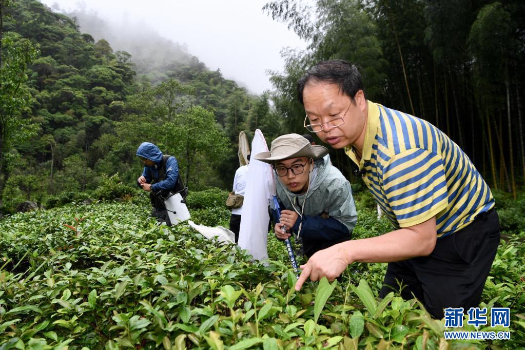 探寻武夷生物秘境——武夷山国家公园全面启动生物资源本底调查