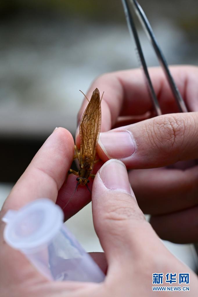 探寻武夷生物秘境——武夷山国家公园全面启动生物资源本底调查