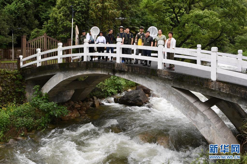 探寻武夷生物秘境——武夷山国家公园全面启动生物资源本底调查