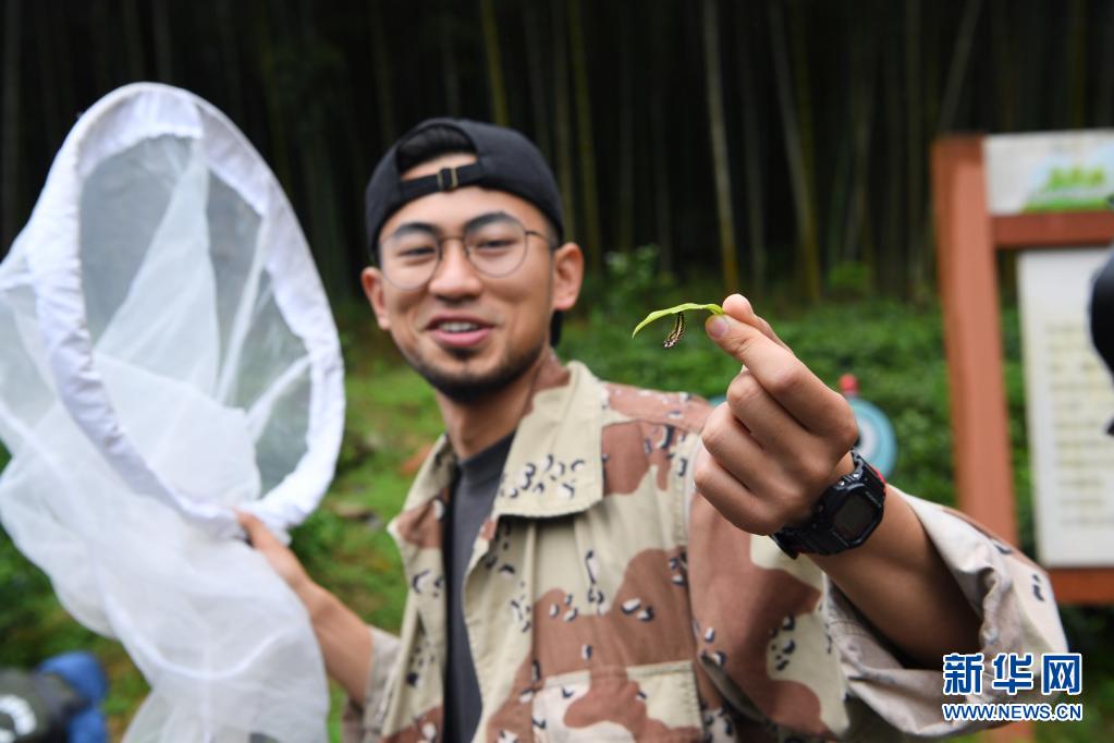 探寻武夷生物秘境——武夷山国家公园全面启动生物资源本底调查