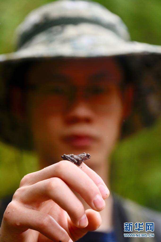 探寻武夷生物秘境——武夷山国家公园全面启动生物资源本底调查