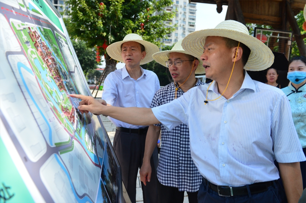 台江区政府主要领导调研推动城市品质提升和人居环境改善工作