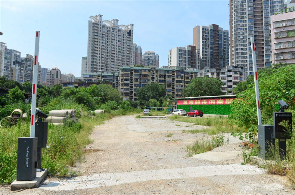 台江区政府主要领导调研推动城市品质提升和人居环境改善工作