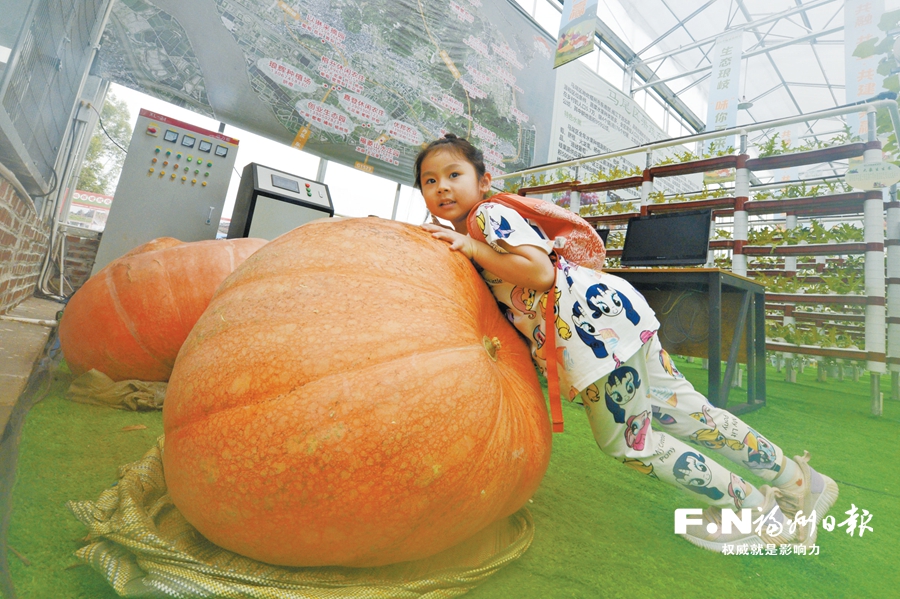 福州市首届果蔬节在马尾琅岐精彩开幕