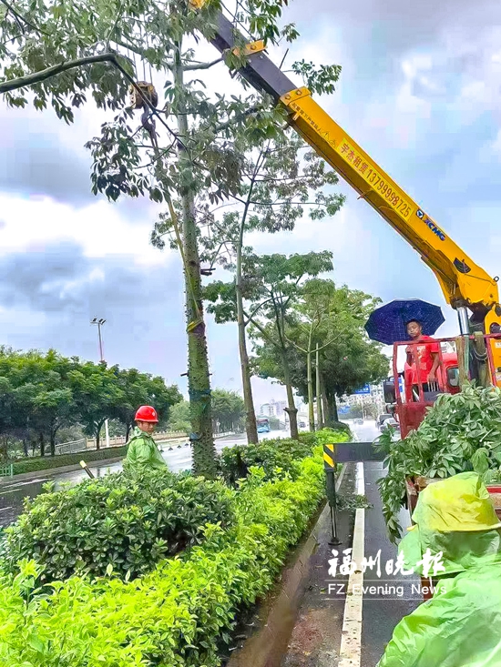 福州园林抢险装“智脑”“急”智非凡战台风