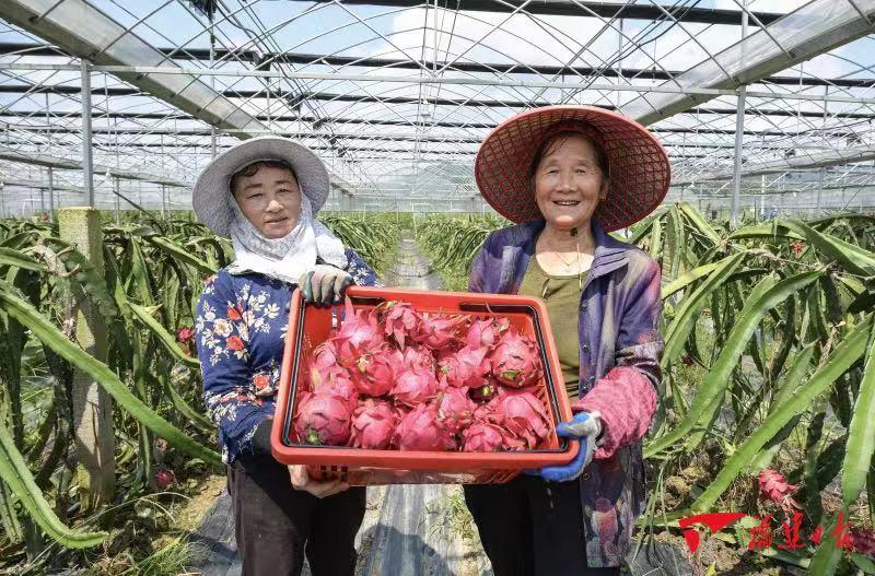 因为这件事，福建这个小山乡悄悄惊艳了世界