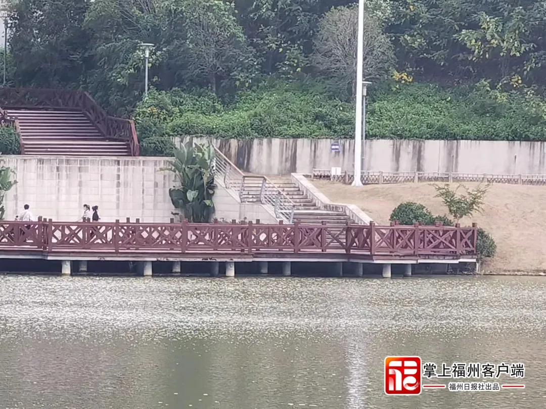 发现身影不对劲！福州六旬老兵纵身跃入湖中……