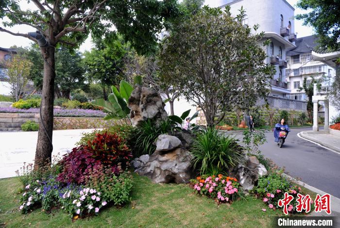 福州：老街区再现“花漾年华”