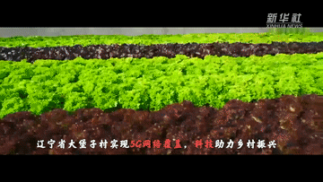 回望2021｜一朝圆梦