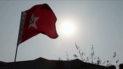 凝望2021丨如磐赤子心