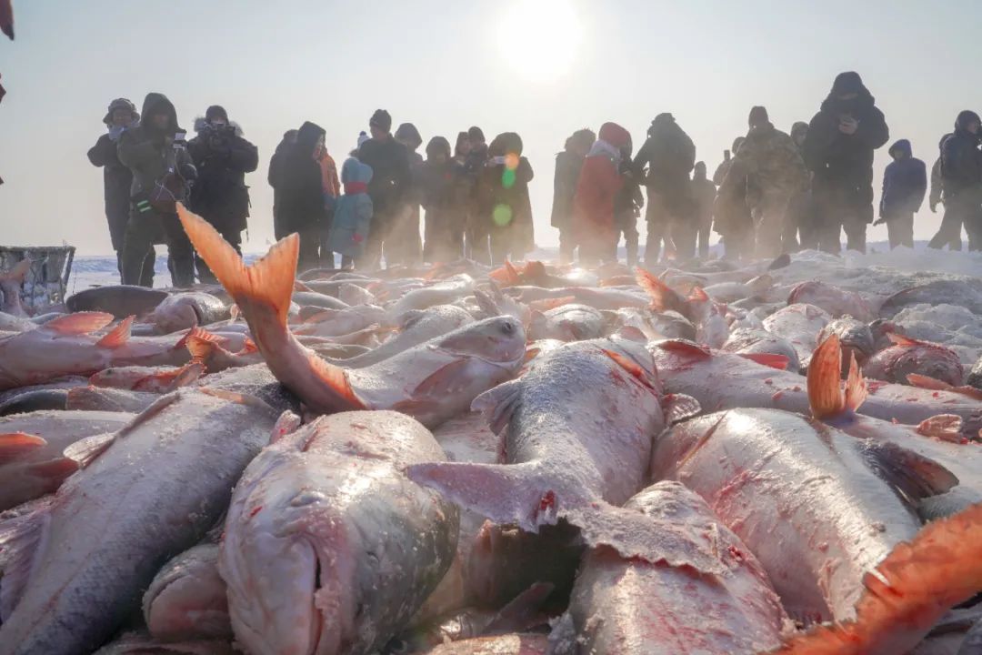 大湖之变：来自查干湖的生态报告