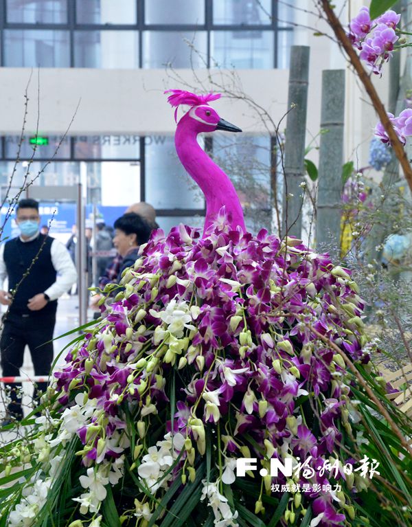 市农林水利工会在工人文化宫展示职工劳动竞赛成果