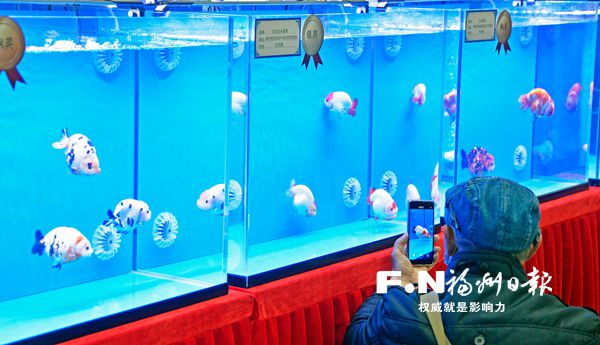 市农林水利工会在工人文化宫展示职工劳动竞赛成果