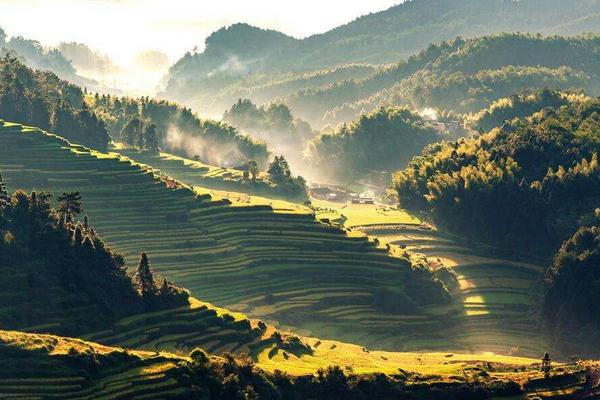 福建开展打击整治养老诈骗专项行动