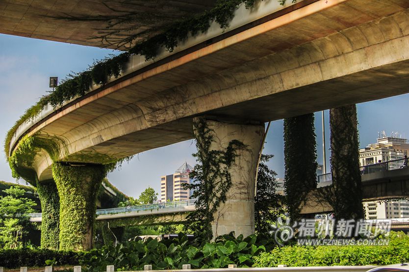 高架桥“披绿”为城市添色