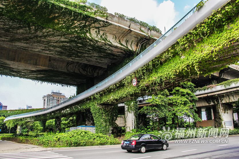 高架桥“披绿”为城市添色