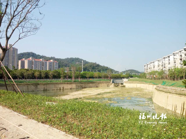 义井溪湖景观绿化近日可完工　具备调蓄涝水功能