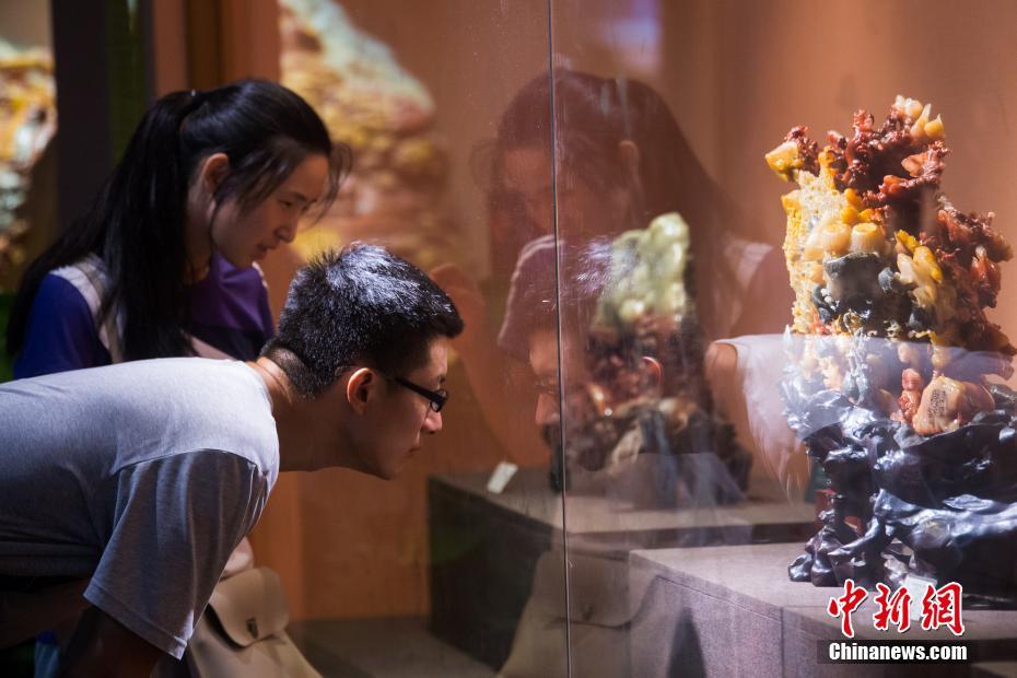 百余种寿山珍稀石种福州展出　引众市民观赏