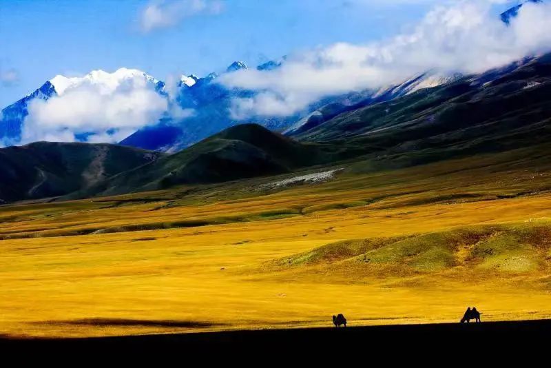 “中国旅游日”，新疆喊你来玩！266项文旅活动带你嗨！