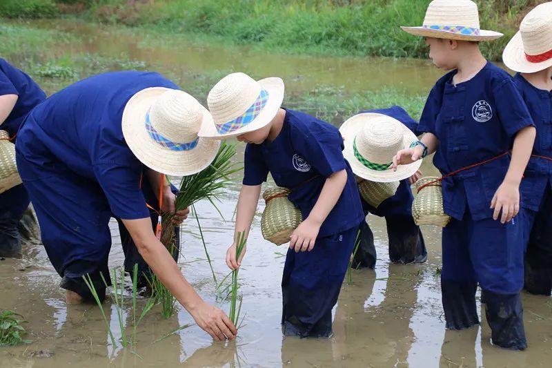 永泰庄寨1号研学营：让孩子在玩中体验农耕文化