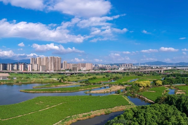 福州茉莉花茶全产业链产值力争到2025年突破百亿元