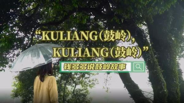 钱多多说鼓岭故事