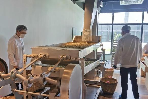 台商开设茶史馆讲好福州茉莉花茶故事