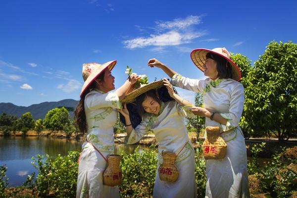 人民日报客户端关注福州：茉莉花再开，茶香溢中外