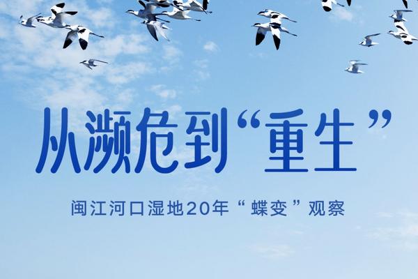 从濒危到“重生”——闽江河口湿地20年“蝶变”观察