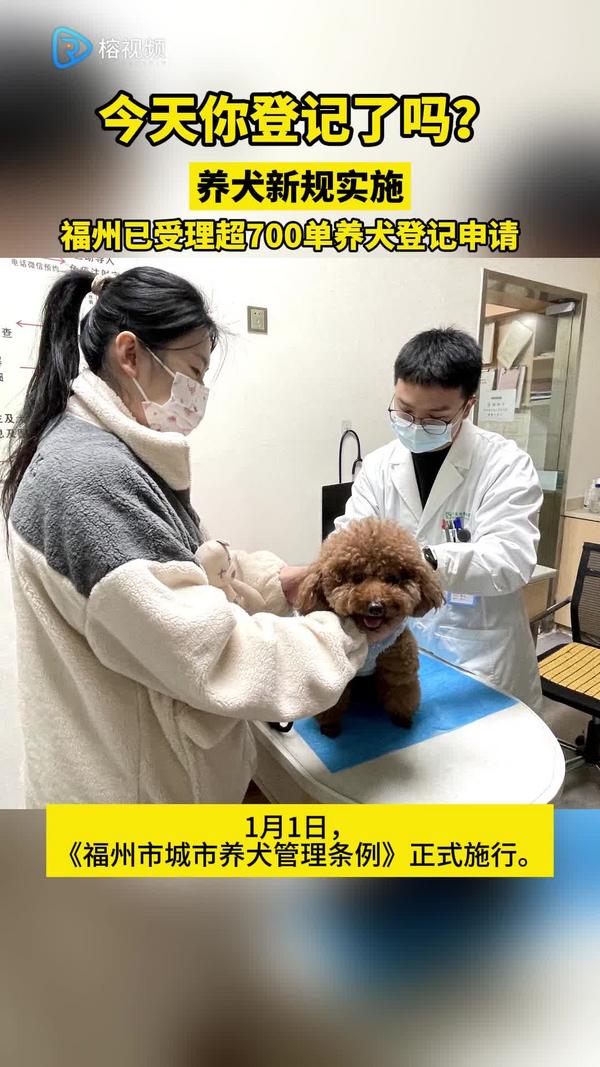 养犬新规实施 福州已受理超700单养犬登记申请