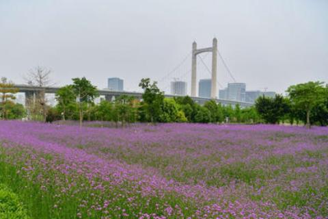 征战商海20余年 市道德模范林向凯谈如何守诚信