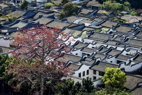 王宁会见第44届世界遗产大会主席田学军