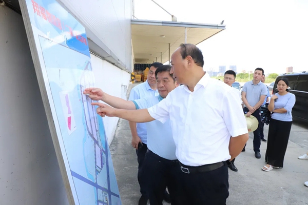 市人大常委会领导赴滨海新城开展重大项目现场检查督促工作
