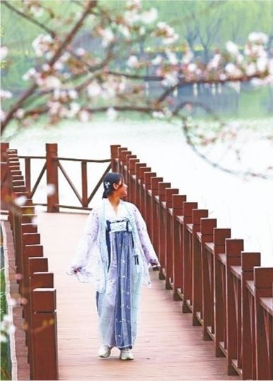 武大樱花盛放迎客，本周末“医护专场”1万多人已预约
