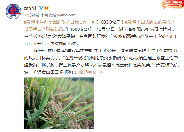 1603.9公斤！袁隆平团队研发的杂交水稻双季亩产刷新纪录
