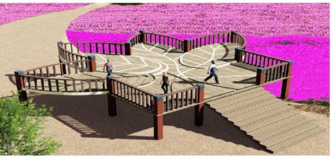 大庆市区将新添一座“百花园”！今年夏天，百花盛开等你来打卡～
