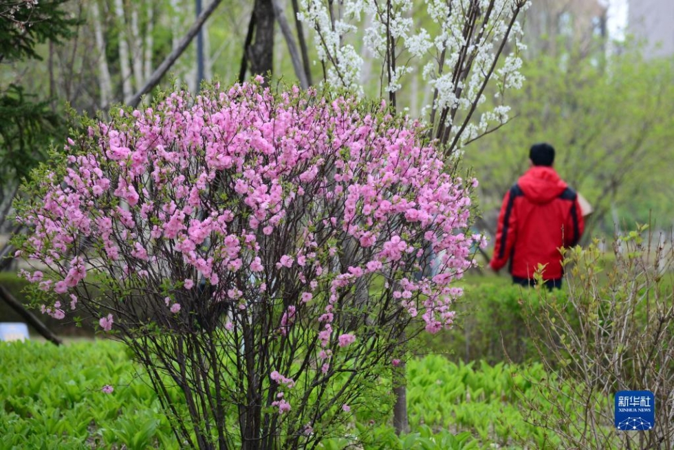 长春逐步解除社会管控首日见闻
