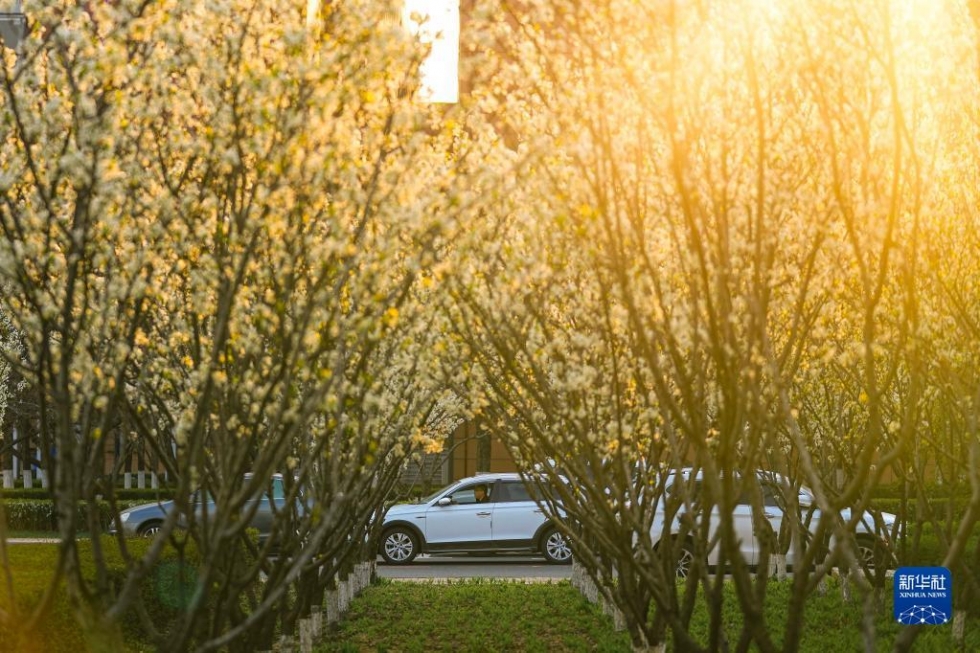 长春逐步解除社会管控首日见闻