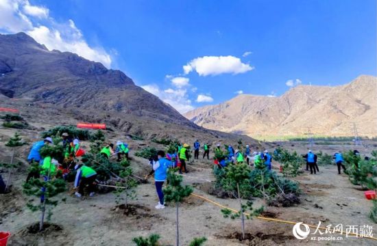 西藏：生态美旅游旺文化兴 “三张答卷”话雪域发展