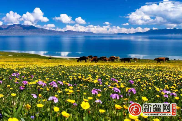 新疆文旅近千项活动迎接“中国旅游日”