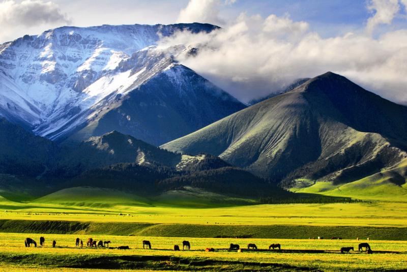  【新疆是个好地方】自治区旅游发展大会吹响了新疆旅游“再出发”的冲锋号