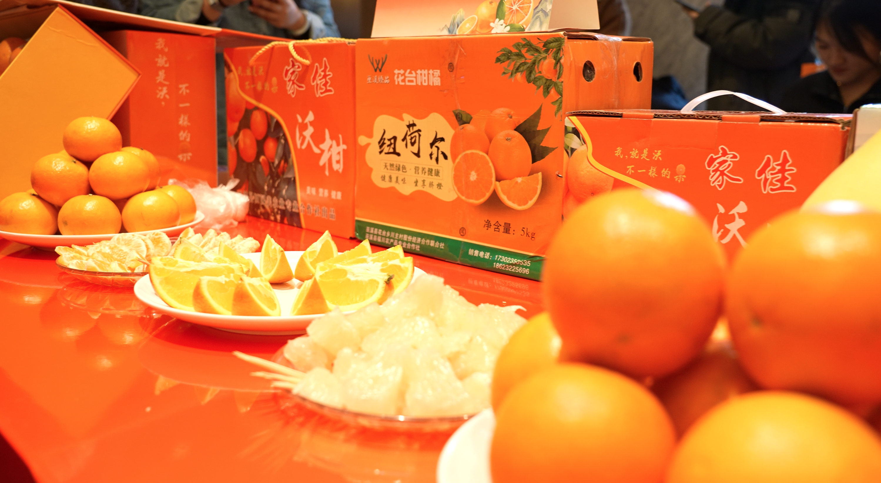 揭开橙红酸甜秘诀！重庆（巫山）柑橘推介活动走进山东烟台 近距离感受柑橘魅力