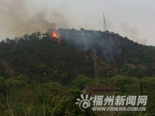 三环金鸡山隧道附近昨日起火 疑与清明扫墓有关 三环金鸡山隧道附近昨日起火 疑与清明扫墓有关