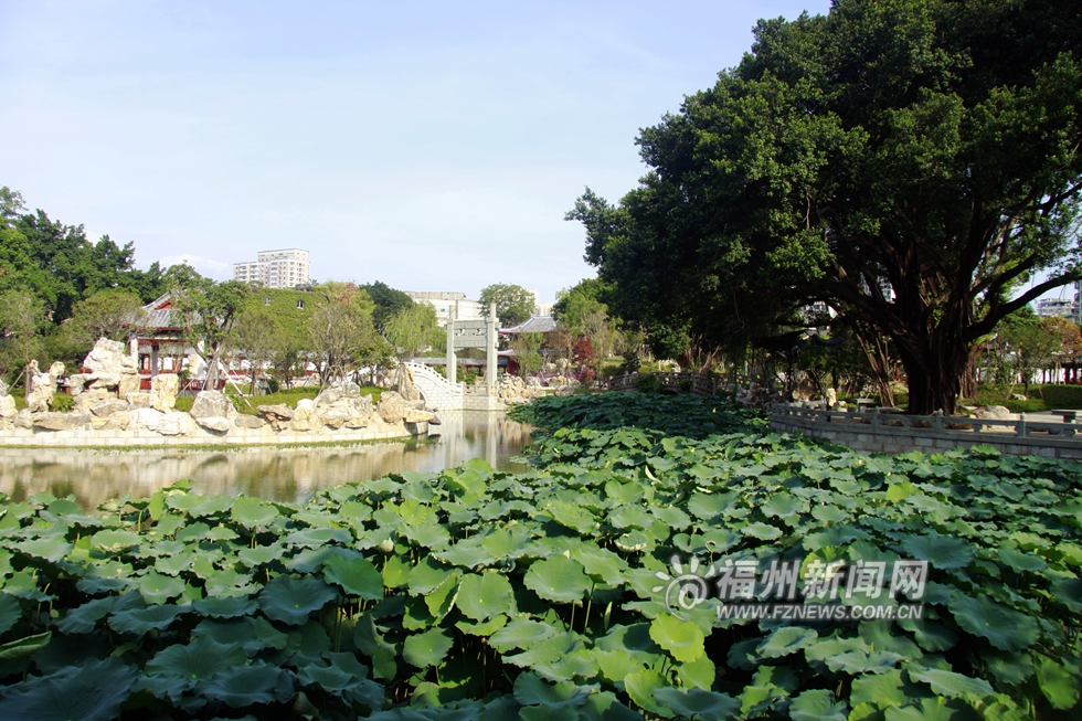 爱上福州城:南公园8月开园  300年园林再现新颜