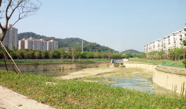 义井溪湖景观绿化近日可完工　具备调蓄涝水功能