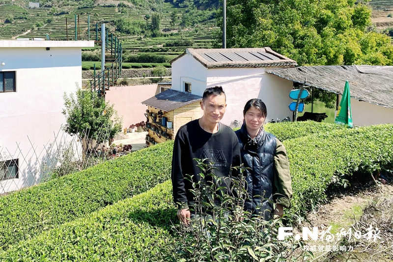 南洋风情入茶山 “侨二代”开办民宿留住乡愁记忆